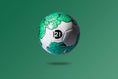 Load image into Gallery viewer, Green Roses Soccer Ball
